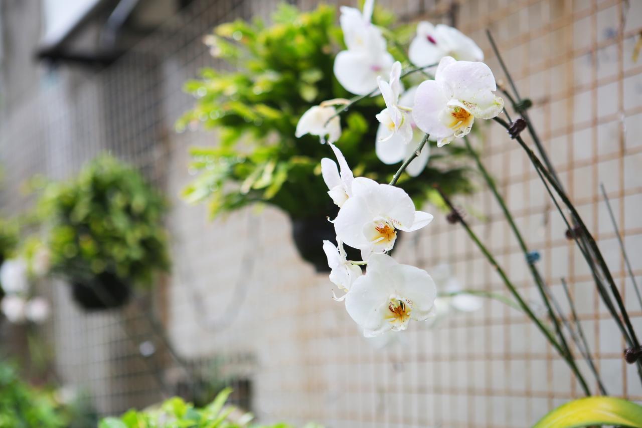 Chiayi Crown Hotel Экстерьер фото